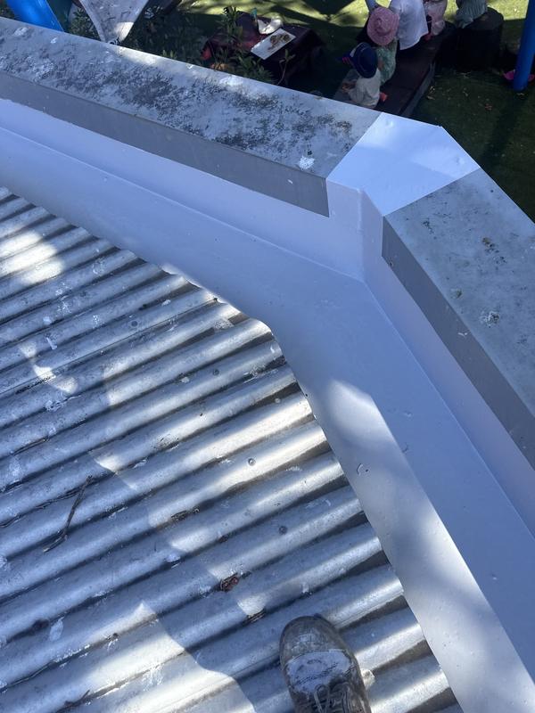 Membrane sealing the junction between a roof and wall